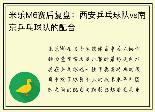 米乐M6赛后复盘：西安乒乓球队vs南京乒乓球队的配合